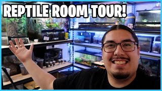 Reptile Room Tour Lizard Room [upl. by Aihsad591]