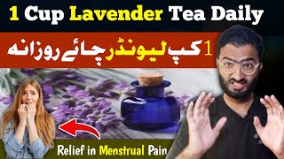 Lavender  What Happened When You Take 1 Cup of Lavender Tea Daily  Menstrual Cramps  Urdu Hindi [upl. by Hutchins]