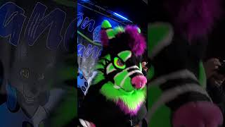 Everything dances on the Rhön dance furry costume fursuit furs fursuiters furr fursuitdance [upl. by Koren218]