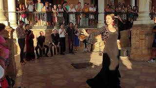 Flamenco dance group in Plaza de España Sevilla September 2019 [upl. by Akinirt]