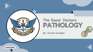 Lecture 6  Acute inflammation 1  Pathology [upl. by Eustis]