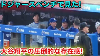 ドジャースベンチで見た、大谷の圧倒的な存在感！現地映像 [upl. by Noiemad347]