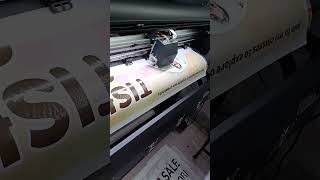 Exact Colour Flex Printing On Ecosolvent Machine [upl. by Anilejna]