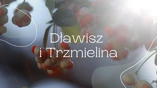 Dławisze i Trzmieliny [upl. by Eisor]