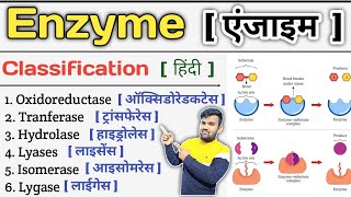 Enzyme in Hindi  Enzymes Biochemistry  Enzyme Classification  Enzymes Inhibition  Enzymes Notes [upl. by Beach]