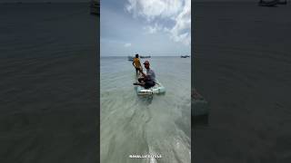 Unexpected scene in the sea  கடலுக்குள் இருக்கும் மீன்களுக்கு உணவு கொடுக்கப் போறோம் fish [upl. by Rush946]