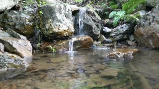 Petite cascade zenBruit de leau qui couleREAL LIFE RELAX [upl. by Aldon]