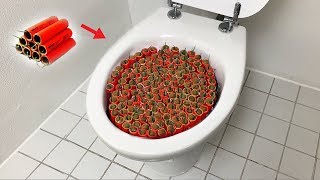 1000 Firecrackers vs Toilet [upl. by Joella]