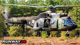 RNLAF AS532U2 Cougar quotWildcat 68quot  Playing at the Oirschotse Heide GLVV [upl. by Nerraw745]