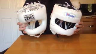 Cleto Reyes vs Winning FG5000 Full Face Head Guard Comparison Review [upl. by Marline]