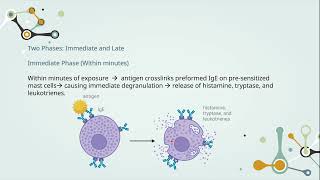 Hypersensitivity  Chapter 1 Introduction and Type 1 Hypersensitivity Reaction [upl. by Eidnahs]