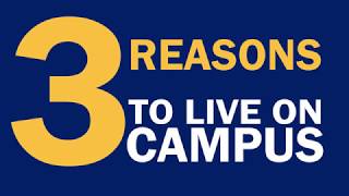 3 Reason to Live On Campus  Webster University [upl. by Niraa]