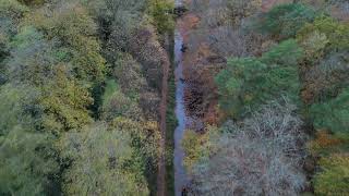 Basingstoke Canal  Frimley  Deepcut  Pirbright  Surrey  2024 [upl. by Stockwell]