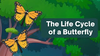 The Butterfly Life Cycle  A Captivating PowerPoint Presentation [upl. by Elli6]