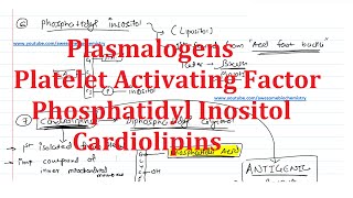 20 Plasmalogens Platelet Activating Factor Phosphatidyl Inositol Lipositol Cardiolipins [upl. by Ammamaria]