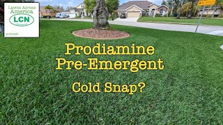 Will Cold Weather Hurt Prodiamine Effectiveness [upl. by Ennyrb79]