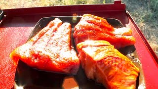 WORLDS GREATEST SALMON RECIPES [upl. by Greiner]