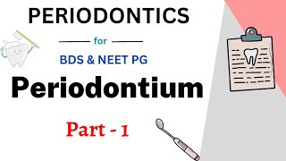 Periodontium Easy Dentistry  Lecture 1  Teethopedia [upl. by Novehs]