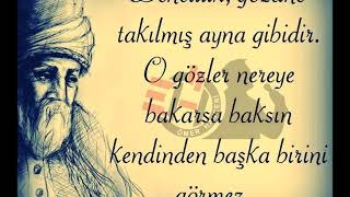 Mevlana Sözleri 🌹 Dinleyin İlaç Gibi Gelecek 🌹 Suskunluğum asaletimdendir mevlana [upl. by Joye696]