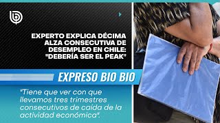 Experto explica décima alza consecutiva de desempleo en Chile quotDebería ser el peakquot [upl. by Arimak]