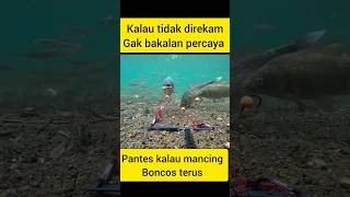 pantes kalau mancing umpan selalu habis ikannya tidak kenak shorts [upl. by Kesia914]