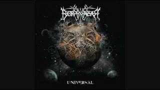 quotHAVOCquot BORKNAGAR UNIVERSAL [upl. by Neelyhtak]