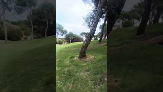 Spanish golf golf lasramblas [upl. by Lertram]