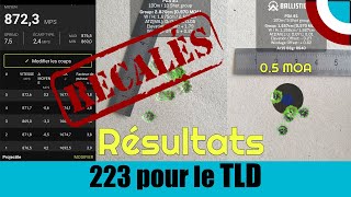 223 Rem pour le TLD  Pour tirer de 100m à 600m les résultats  33 [upl. by Leahcimluap]