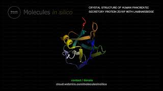 Molecules in silico ･ CRYSTAL STRUCTURE OF HUMAN PANCREATIC SECRETORY PROTEIN ZG16P WITH LAMINARIB [upl. by Enimaj]