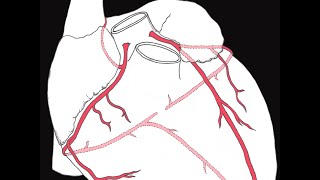 Coronary circulation of the heart [upl. by Licna]