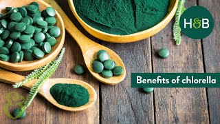 Benefits of Chlorella  Debunking Wellness  HampB [upl. by Terrell]