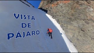 Descubre el Canuto del VELETA desde un punto de vista DIFERENTE 🐦 [upl. by Ahdar]