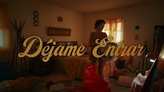 Rauw Alejandro  Déjame Entrar Lyric Video [upl. by Atinhoj]