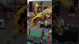 甲洞弘德体育会 Kepong Hong Teck Lion Dance Practice vs Competitionacrobaticliondance shorts [upl. by Egdamlat]