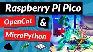 Raspberry Pi Pico OpenCat and MicroPython [upl. by Hcnarb]