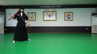 South Korean TraditionalModern Sword Martial Art quotHaedong Gumdo海東劒道quot Personal Training [upl. by Moule]