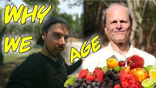 Why Fruitarians Age So Quickly The Glycation Effect [upl. by Bonucci]