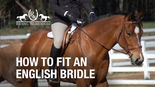 How To Fit an English Bridle on Your Horse [upl. by Eugenius]