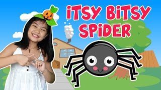 Itsy Bitsy Spider Jazz [upl. by Llerod780]