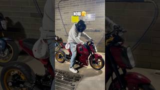 Honda Grom TRANSFORMATION baggedgrom bagmygrom airsuspension hondagrom [upl. by Leuams]