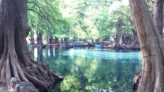 Lago de Camécuaro Michoacán México [upl. by Ellett]