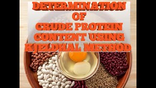 DETERMINATION OF CRUDE PROTEIN CONTENT USING KJELDHAL METHOD [upl. by Eceinahs757]