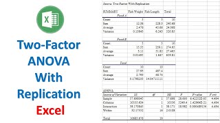 How to Perform a TwoFactor ANOVA With Replication in Excel [upl. by Kirwin]