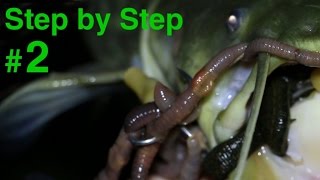 Welsangeln Step by Step 2  Wurfmontage Würmer Anfängertipps  wwwzeckfishingcom [upl. by Eniretak]