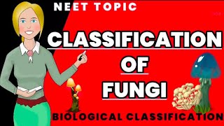 classification of fungi  Class 11 biology ncert NEET [upl. by Aleil]