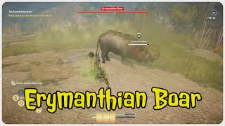 Assassins Creed Odyssey  Erymanthian Boar location and fight [upl. by Liamsi]