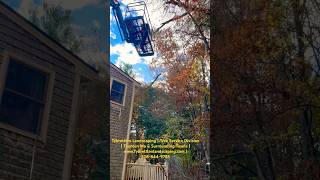 Tree Service Taunton Ma  5088449785  Tybrettlen Landscaping LLC wwwTybrettlenlandscapingcom [upl. by Perloff]