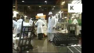 Mid 1990s Billingsgate Fish Market London Archive Footage [upl. by Olracnaig]