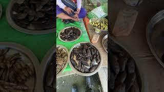 Dry fish shop near Loktaklake  ytshortsindia manipur fishmarket dryfishrecipe travel [upl. by Kai]