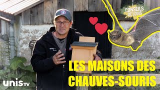 Les différentes maisons des chauvessouris [upl. by Eelac705]